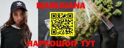 индика Обнинск