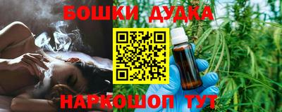 индика Обнинск
