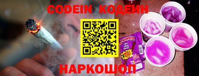 индика Обнинск
