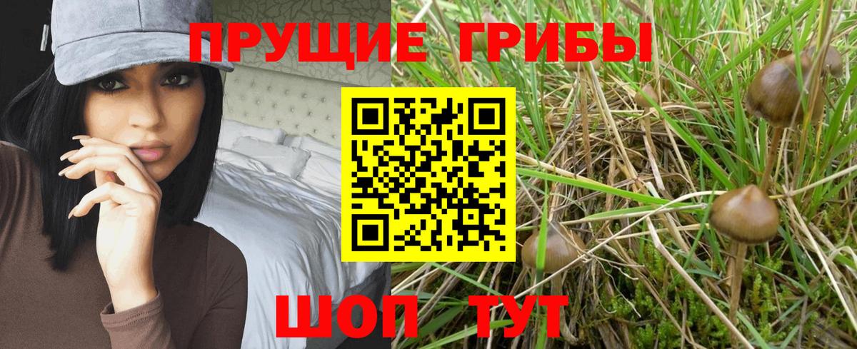 где продают наркотики  Вход с VPN  Тайшет  Галлюциногенные грибы ЛСД 